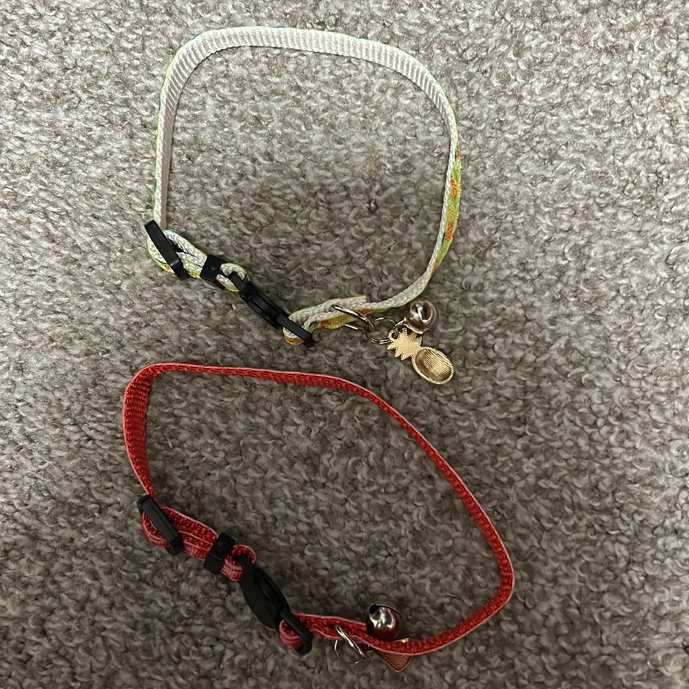 Two cat collars